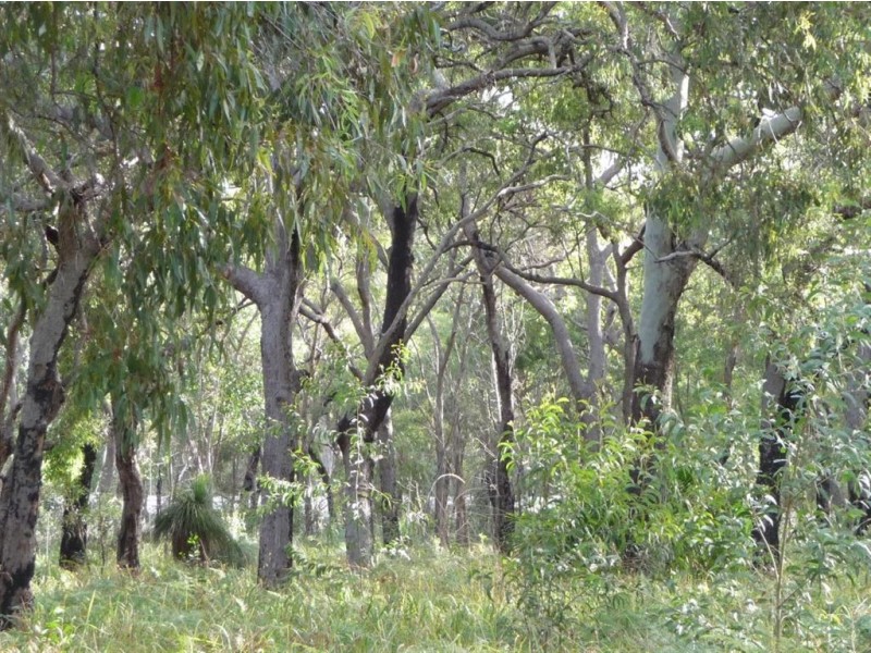 Lot 136 Springs Road, Agnes Water QLD 4677