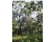 Lot 136 Springs Road, Agnes Water QLD 4677