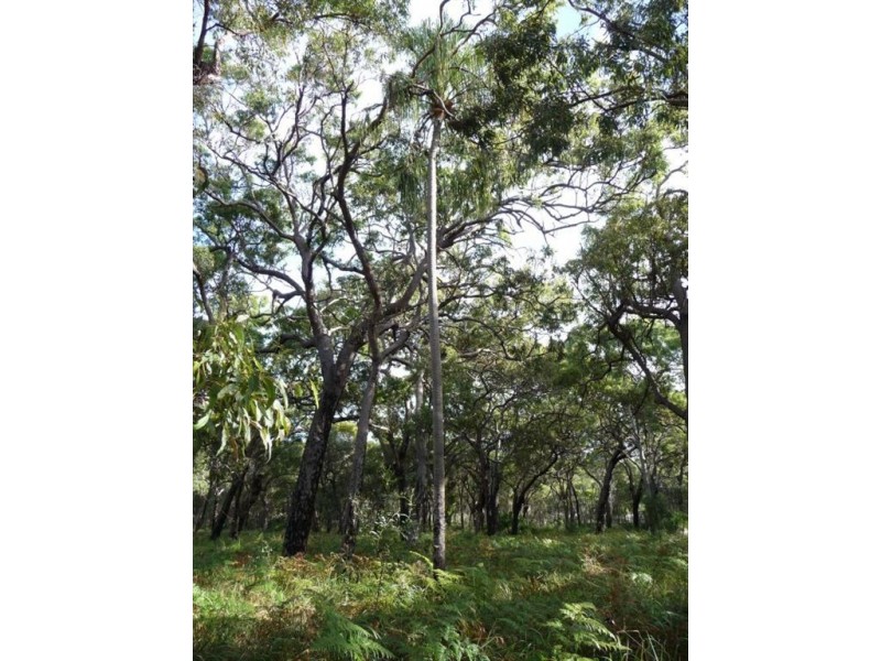 Lot 136 Springs Road, Agnes Water QLD 4677
