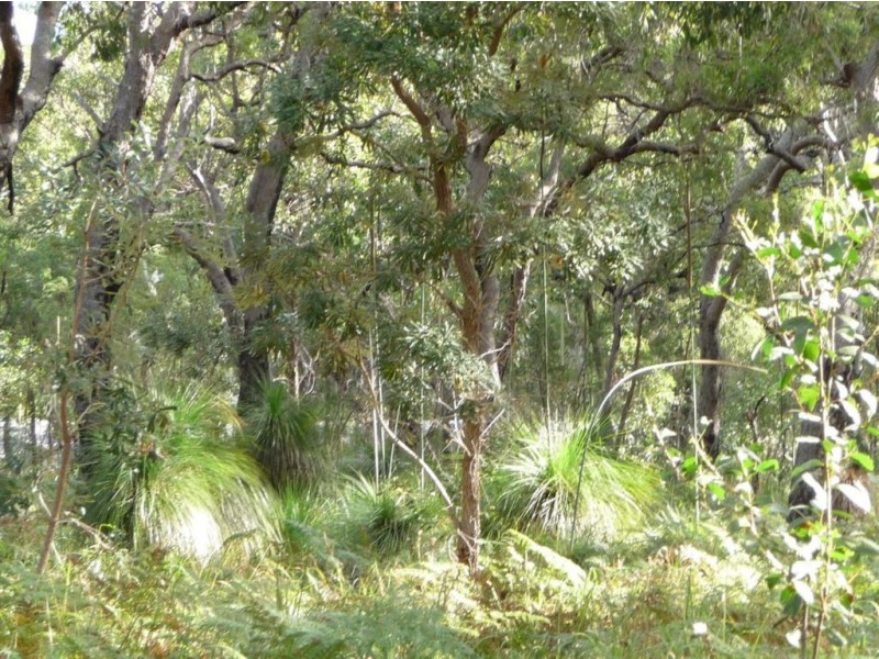 Lot 136 Springs Road, Agnes Water QLD 4677