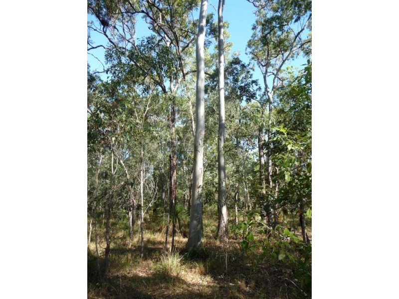 Lot 170 Davies Road, Captain Creek QLD 4677