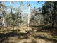 Lot 170 Davies Road, Captain Creek QLD 4677
