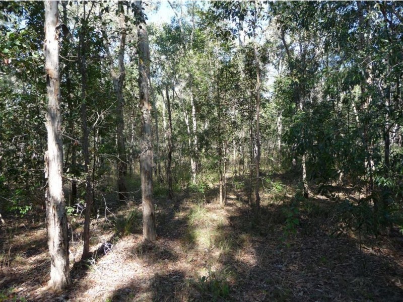 Lot 170 Davies Road, Captain Creek QLD 4677