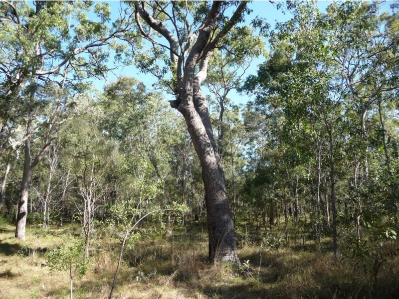 Lot 170 Davies Road, Captain Creek QLD 4677