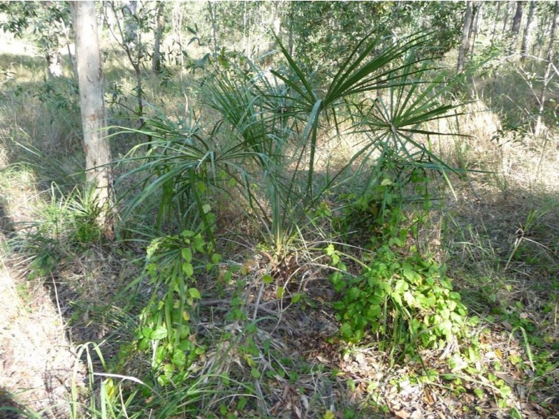 Lot 170 Davies Road, Captain Creek QLD 4677