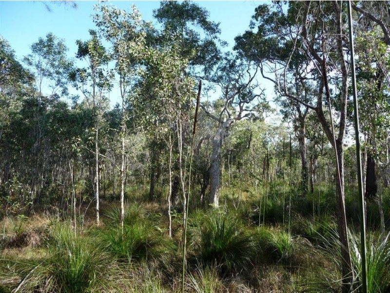 156 Masthead Drive, Agnes Water QLD 4677