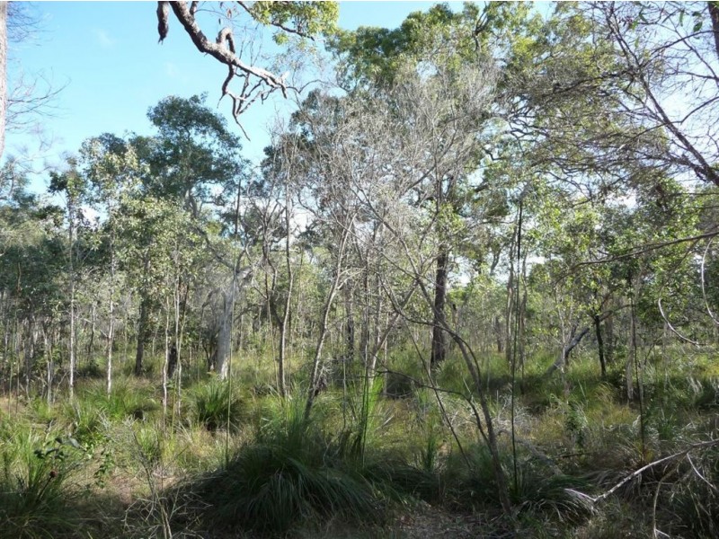 156 Masthead Drive, Agnes Water QLD 4677