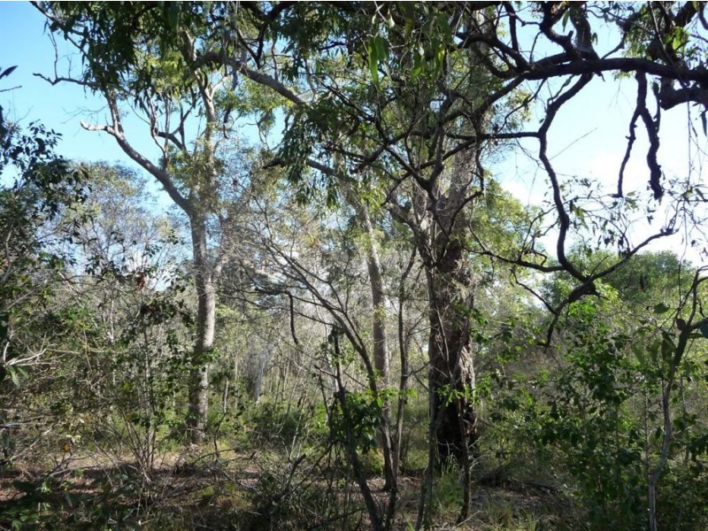 156 Masthead Drive, Agnes Water QLD 4677