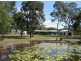 133 Allingham Way, Agnes Water QLD 4677