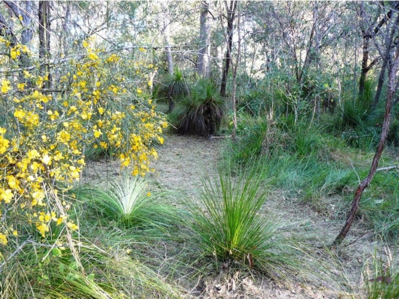 Lot 305 Streeter Drive, Agnes Water QLD 4677