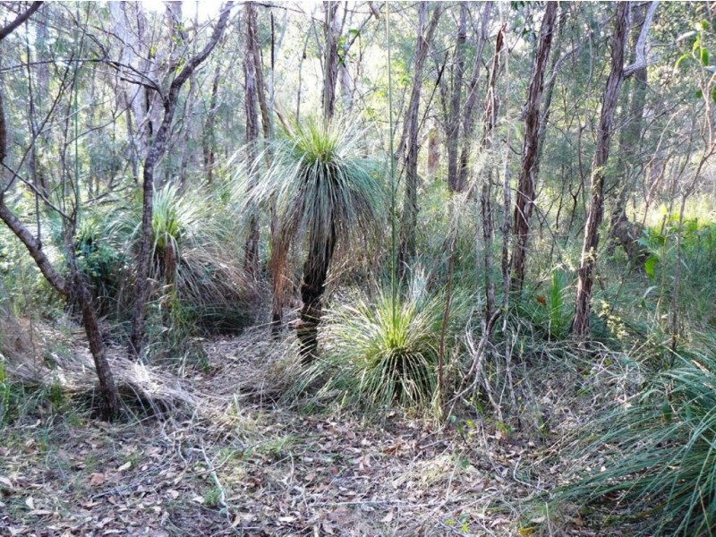 Lot 305 Streeter Drive, Agnes Water QLD 4677