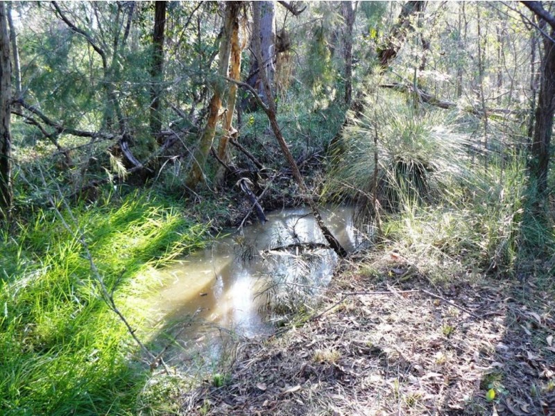 Lot 305 Streeter Drive, Agnes Water QLD 4677