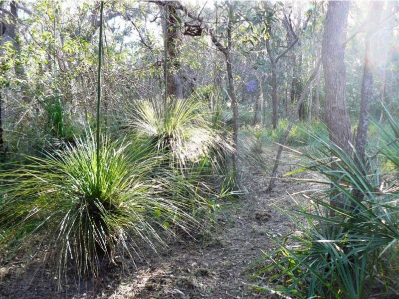 Lot 305 Streeter Drive, Agnes Water QLD 4677