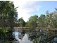 74 Allingham Way, Agnes Water QLD 4677