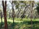 Lot 36 Springs Road, Agnes Water QLD 4677