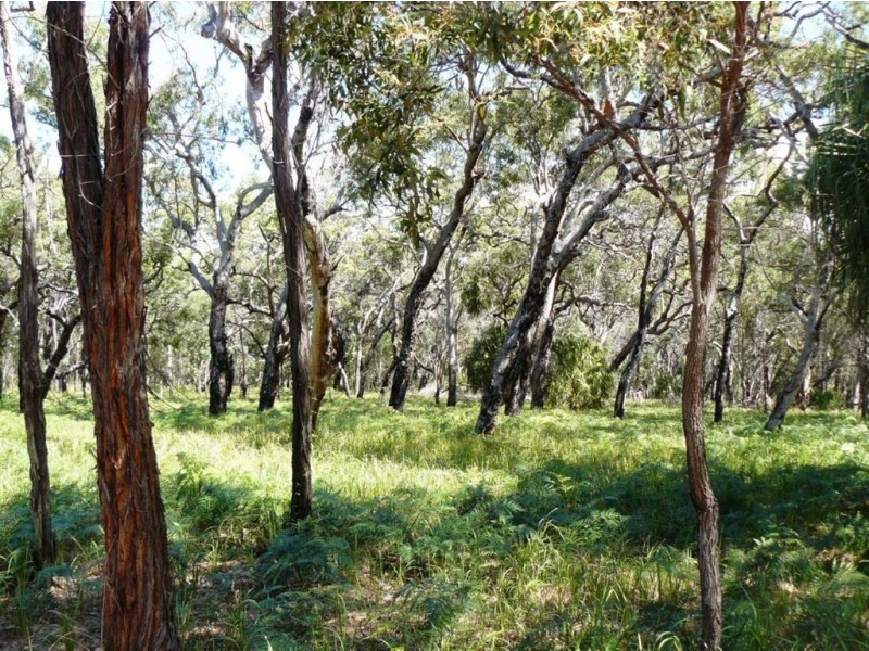Lot 36 Springs Road, Agnes Water QLD 4677