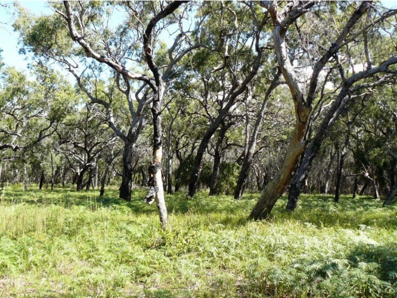 Lot 36 Springs Road, Agnes Water QLD 4677