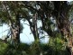 Lot 36 Springs Road, Agnes Water QLD 4677