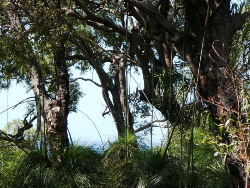 Lot 36 Springs Road, Agnes Water QLD 4677