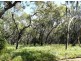 Lot 36 Springs Road, Agnes Water QLD 4677