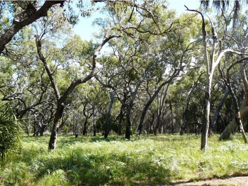 Lot 36 Springs Road, Agnes Water QLD 4677