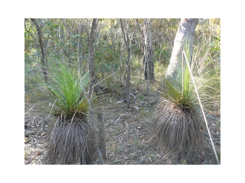 Lot 228 Countess Russell Crescent, Agnes Water QLD 4677