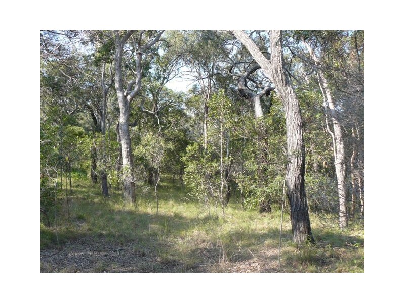 Lot 228 Countess Russell Crescent, Agnes Water QLD 4677