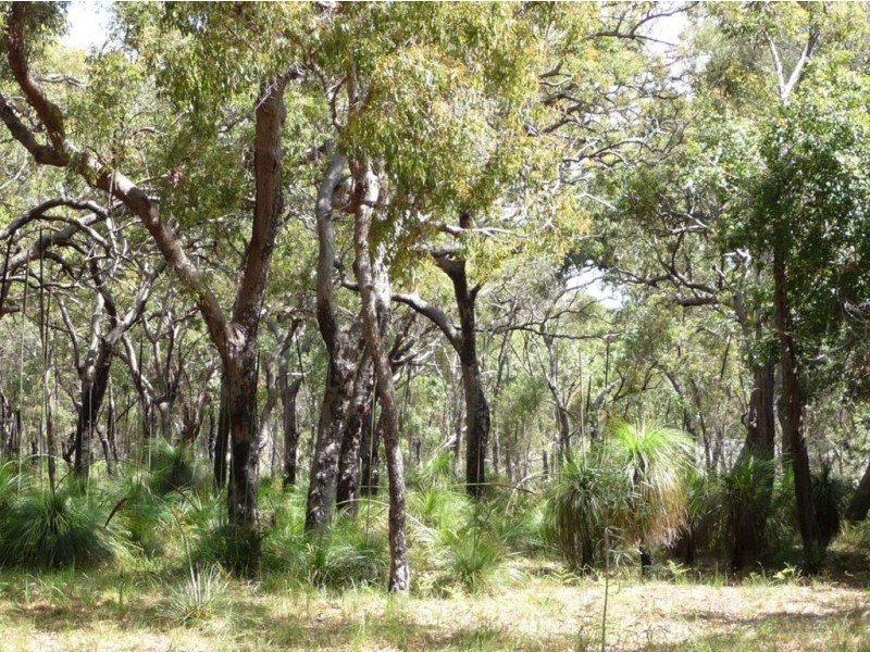 Lot 135 Springs Road, Agnes Water QLD 4677