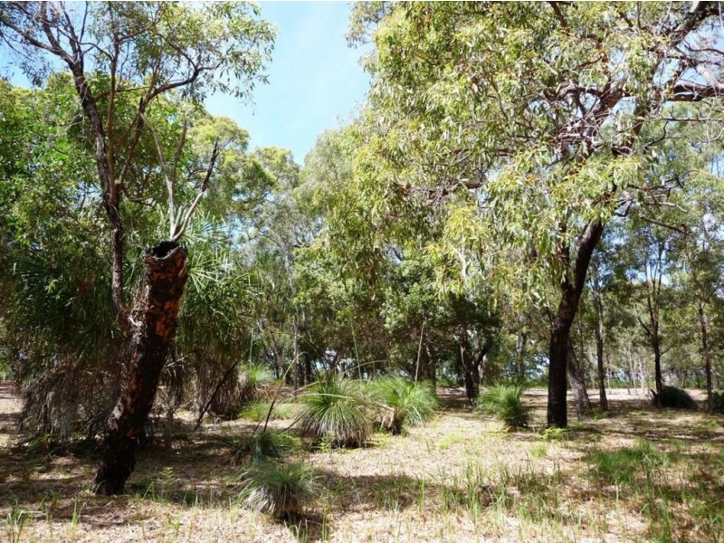 Lot 135 Springs Road, Agnes Water QLD 4677