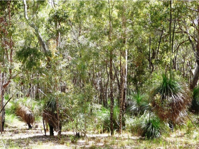 Lot 135 Springs Road, Agnes Water QLD 4677