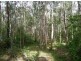 Lot 29 Creevey Drive, Captain Creek QLD 4677