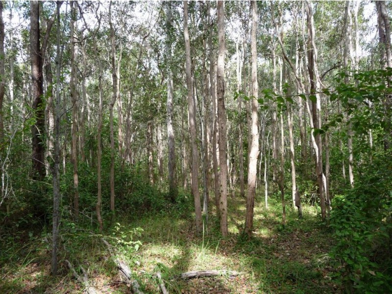 Lot 29 Creevey Drive, Captain Creek QLD 4677