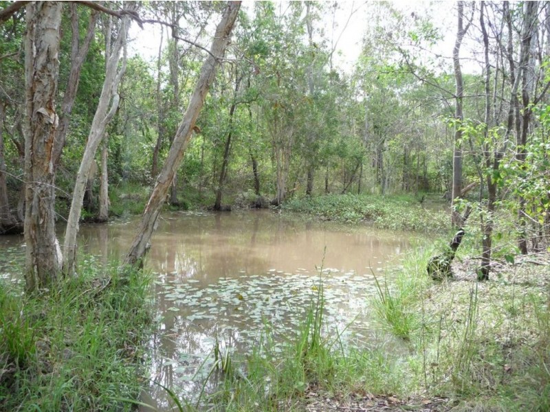 Lot 29 Creevey Drive, Captain Creek QLD 4677