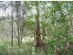 Lot 29 Creevey Drive, Captain Creek QLD 4677
