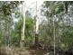 Lot 29 Creevey Drive, Captain Creek QLD 4677