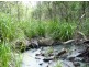 Lot 29 Creevey Drive, Captain Creek QLD 4677