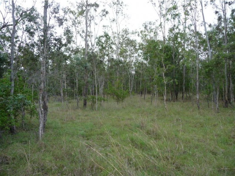 Lot 29 Creevey Drive, Captain Creek QLD 4677