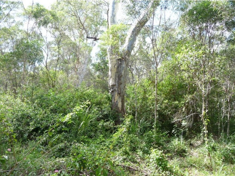 Lot 327 Watkins Road, Agnes Water QLD 4677