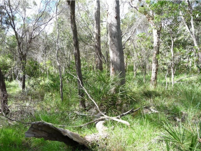 Lot 327 Watkins Road, Agnes Water QLD 4677
