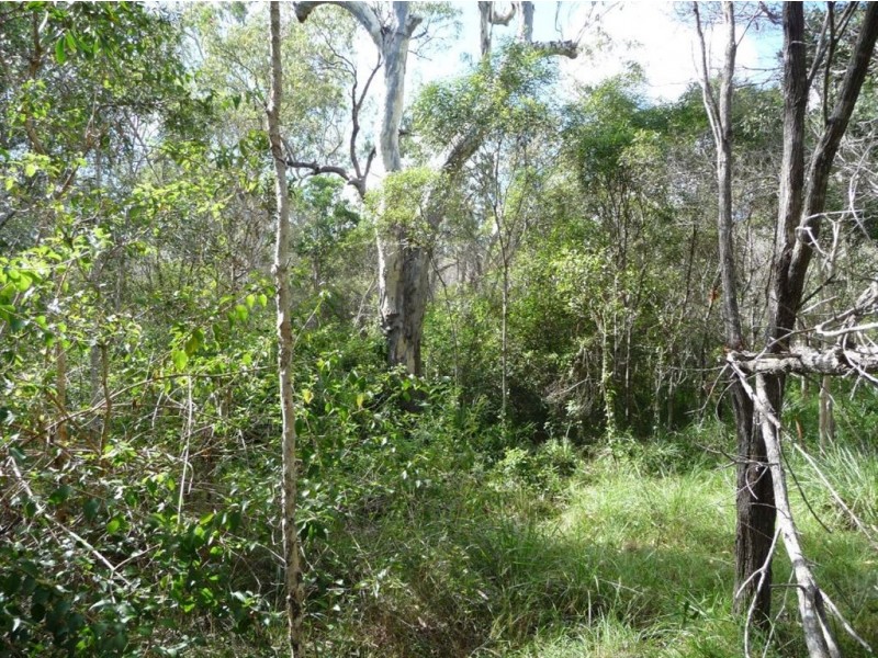 Lot 327 Watkins Road, Agnes Water QLD 4677