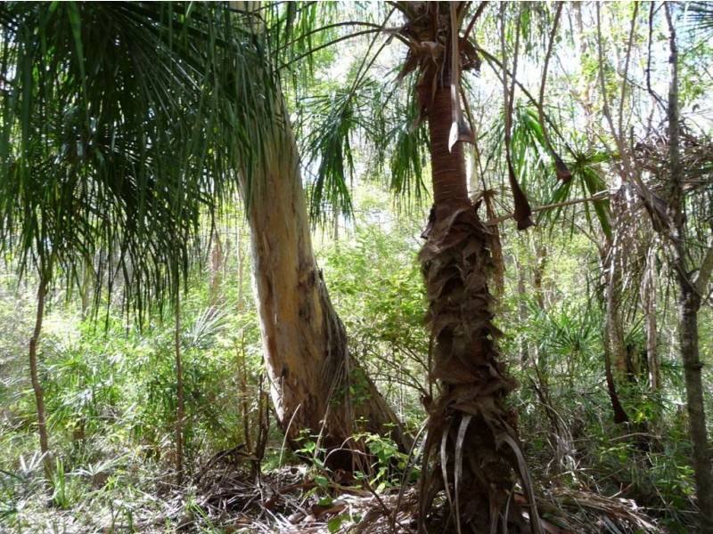 Lot 327 Watkins Road, Agnes Water QLD 4677