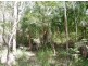 Lot 327 Watkins Road, Agnes Water QLD 4677