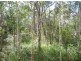 Lot 327 Watkins Road, Agnes Water QLD 4677