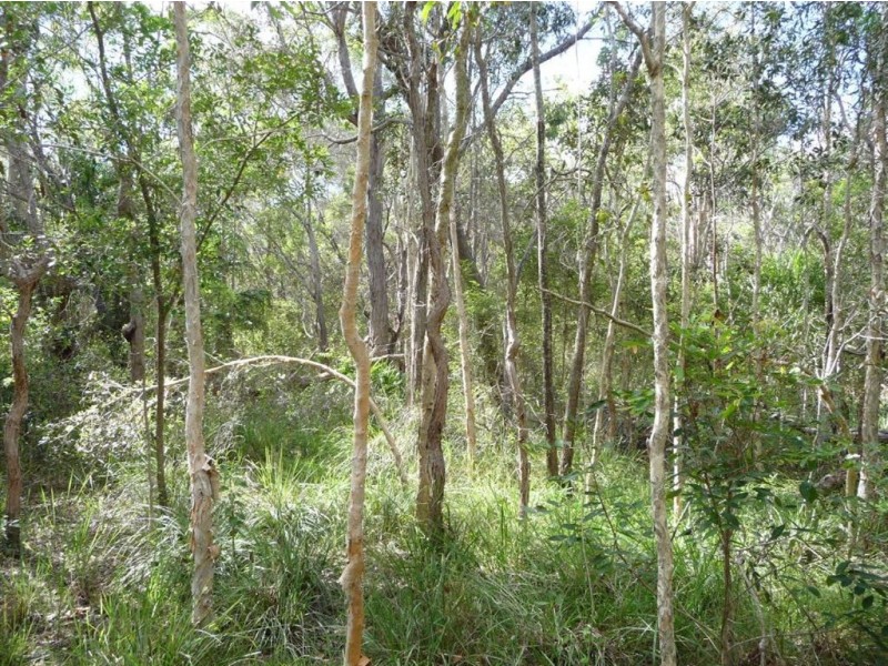Lot 327 Watkins Road, Agnes Water QLD 4677