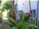 Unit 8 Ocean Beach Resort, Agnes Water QLD 4677
