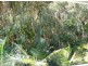 Unit 8 Ocean Beach Resort, Agnes Water QLD 4677