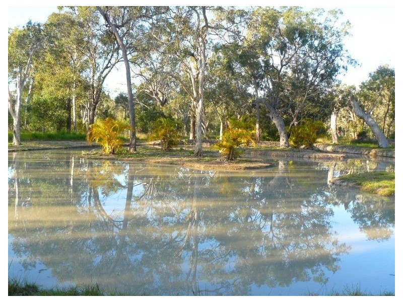 159 Allingham Way, Agnes Water QLD 4677