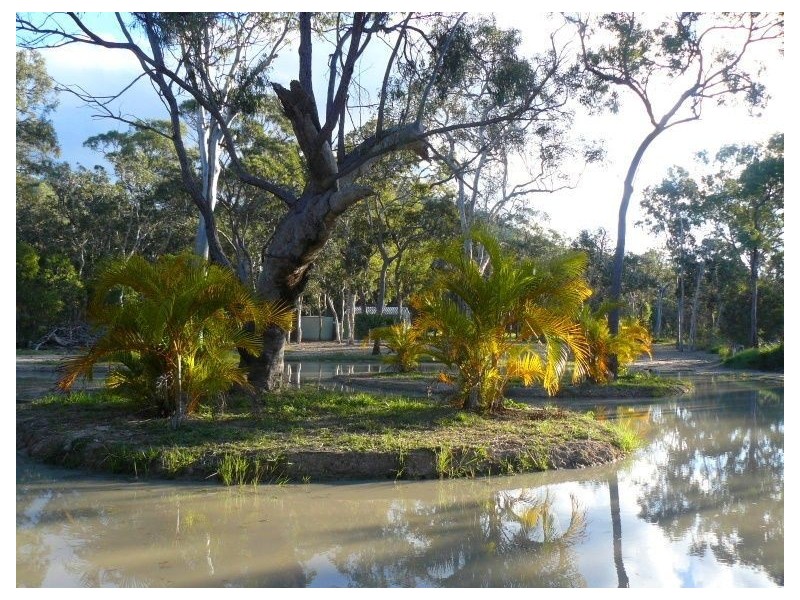 159 Allingham Way, Agnes Water QLD 4677