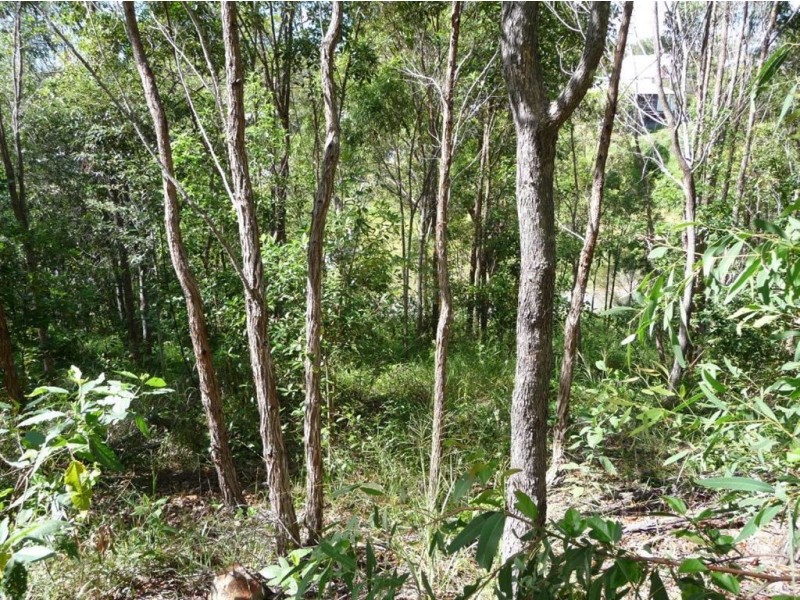 6 Bayview Close, Agnes Water QLD 4677