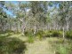 Lot 239 Allingham Way, Agnes Water QLD 4677